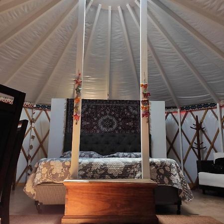 Yurt, Romantico E Luxuoso, Natureza E Cachoeiras Hotell Jacutinga Exteriör bild
